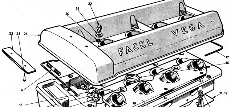 Facel technique